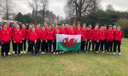 SIAB Cross Country 2025.jpeg