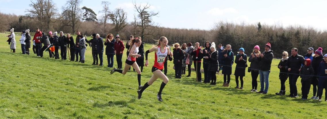 SIAB XC 2024 Page Hero.jpg