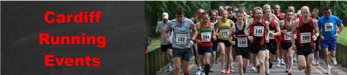 summer series 01.png