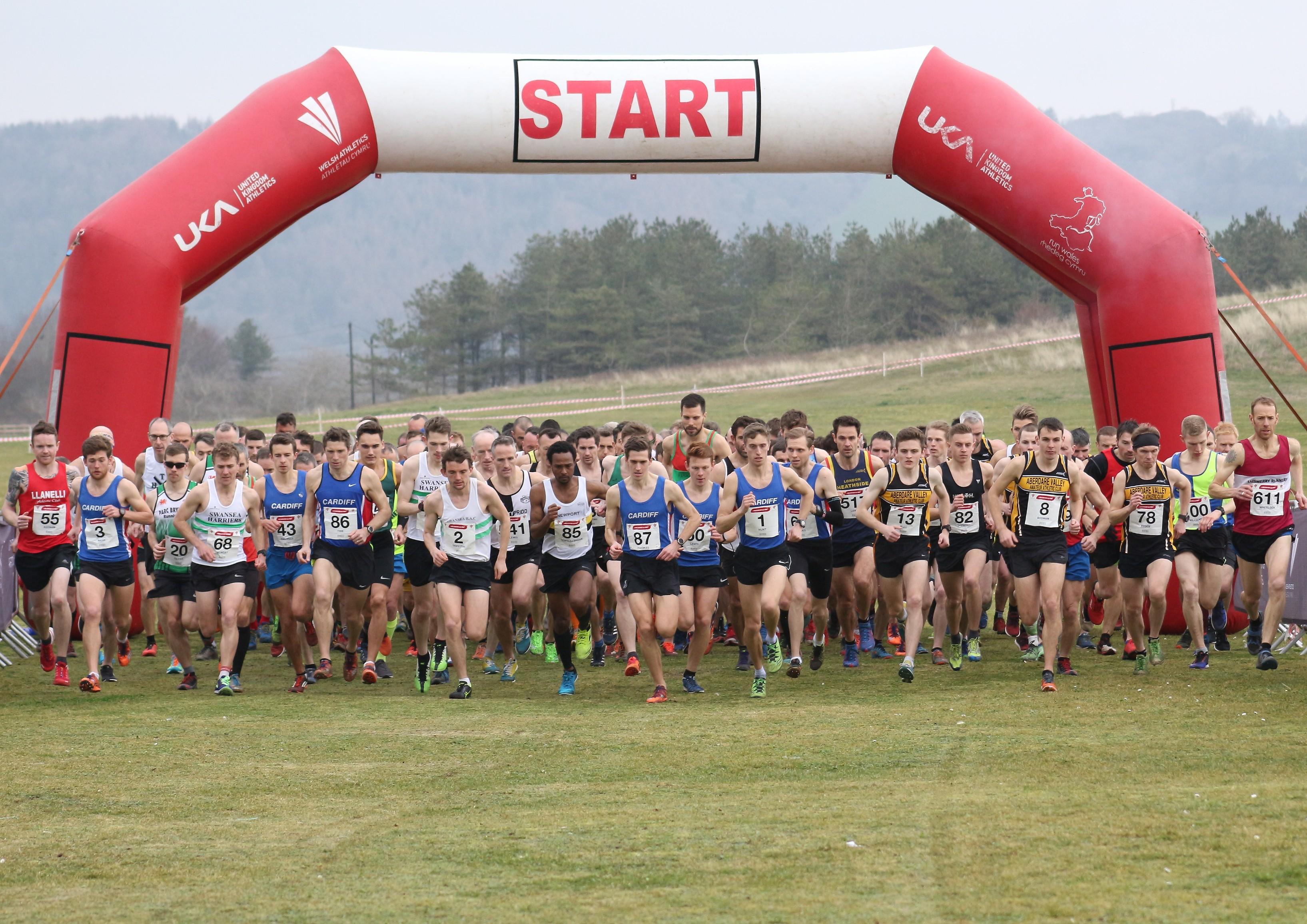 The start of the men's senior race  at the Welsh Cross Country Championships..jpg