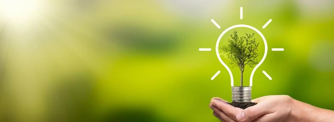 Sustainable Banner.png