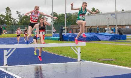 Millie - Steeplechase.jpg