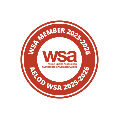 WSA logo