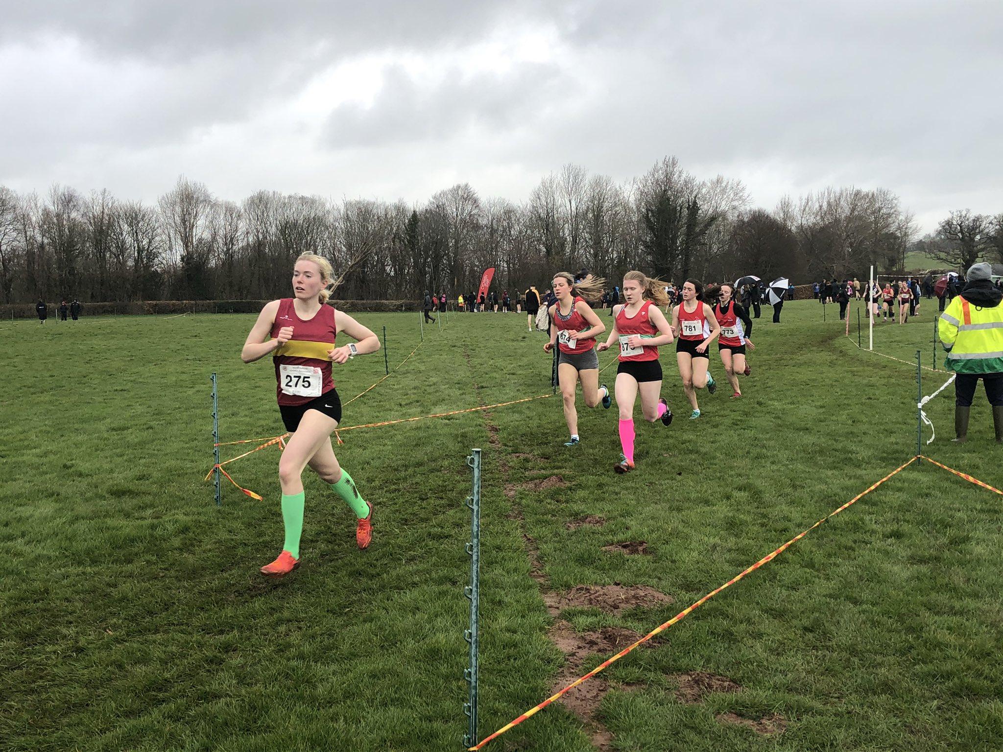 schools xc.jfif
