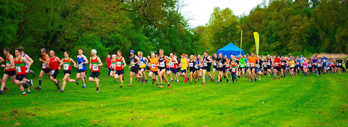 Porthkerry Banner.jpg