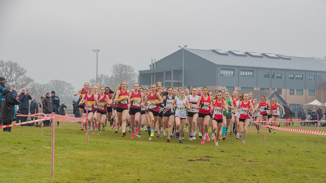 Welsh Schools 2025 Hero.jpg