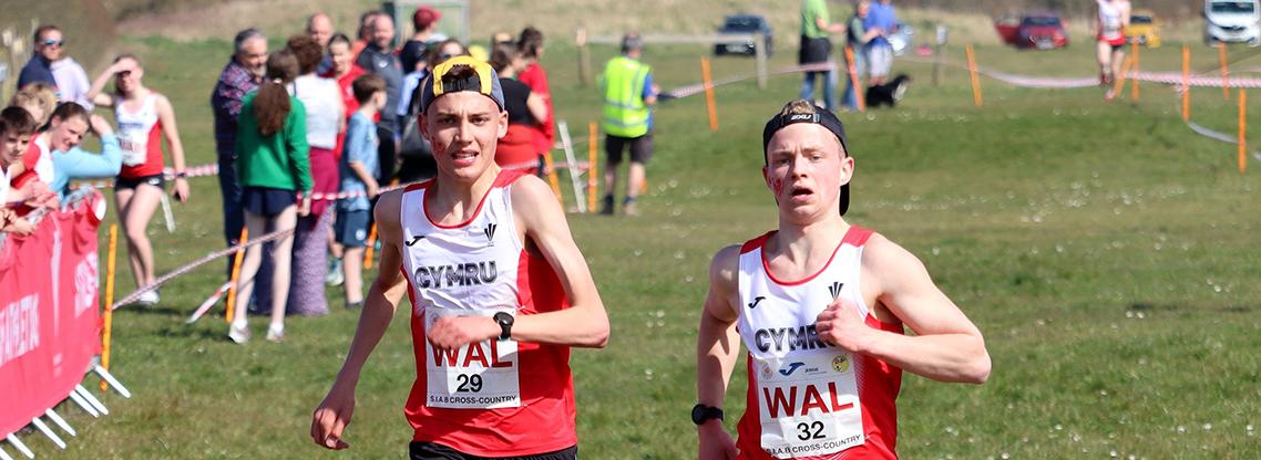 SIAB Cross Country 2022.png