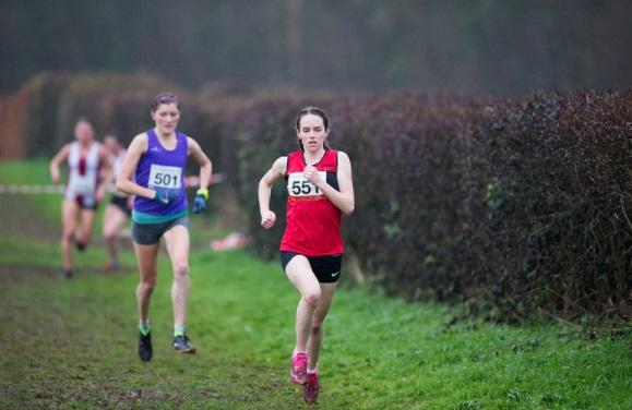 Welsh Inter_Rregional - Alaw 2016.jpg