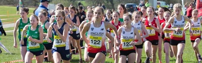 SIAB 2017 banner.jpg