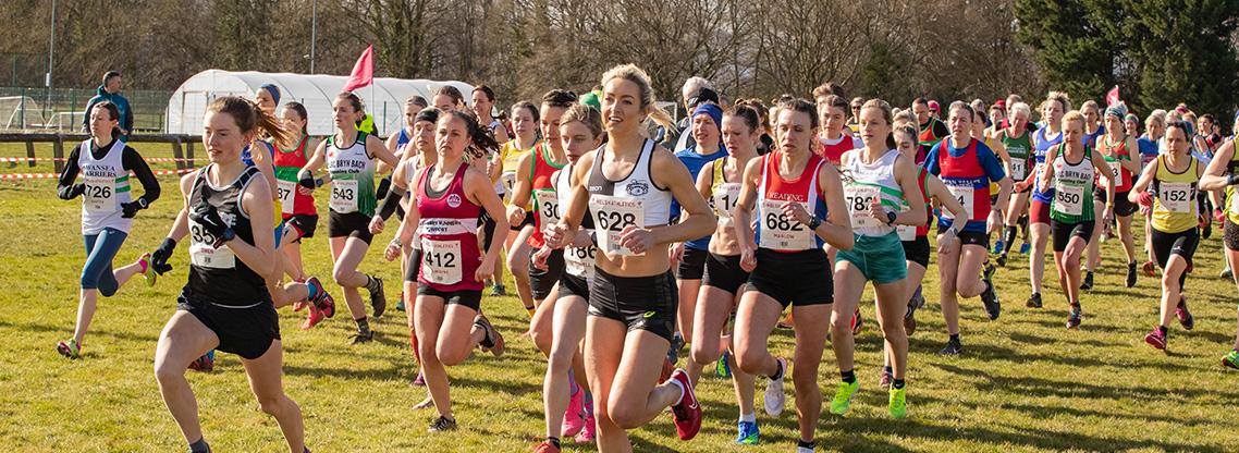 Cross Country Banner.jpg