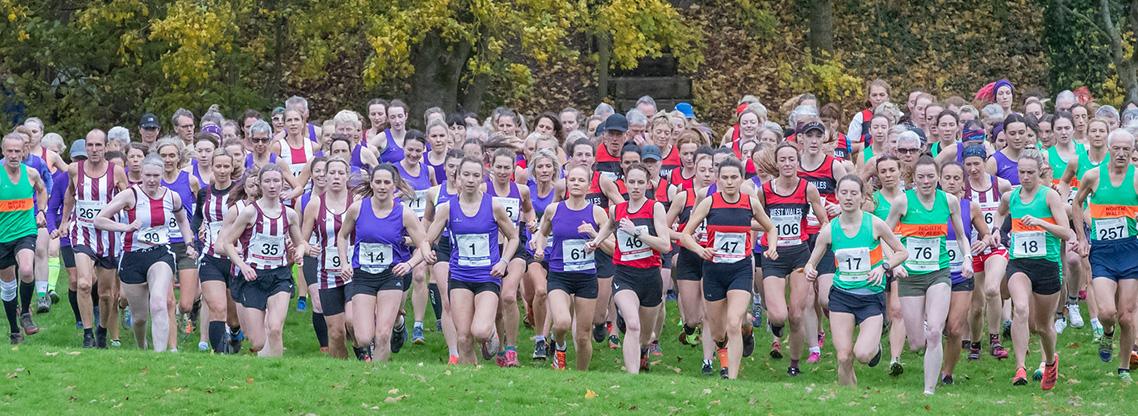 Inter-Regional Banner SW 2023.jpg